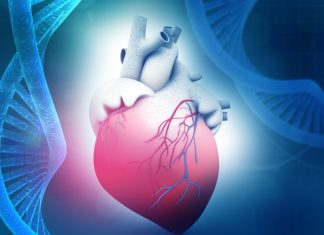 The Science of Heart Health: Understanding Cardiovascular Disease and Prevention Strategies