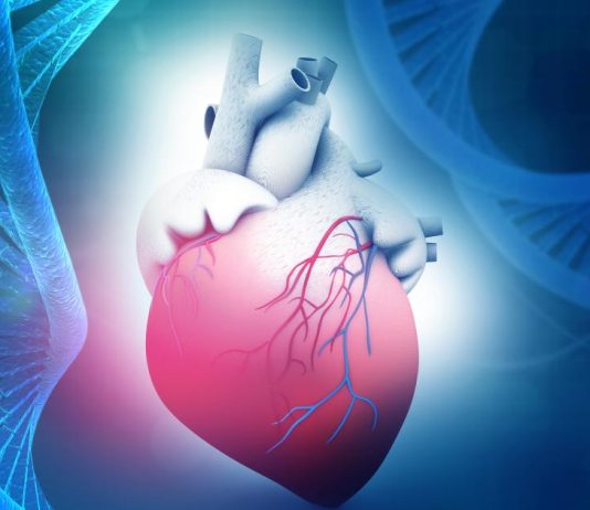 The Science of Heart Health: Understanding Cardiovascular Disease and Prevention Strategies