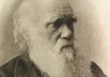 The Theory of Evolution: Darwin’s Revolutionary Idea That Changed Biology