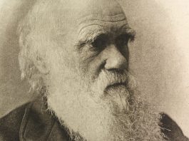 The Theory of Evolution: Darwin’s Revolutionary Idea That Changed Biology