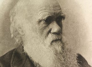 The Theory of Evolution: Darwin’s Revolutionary Idea That Changed Biology