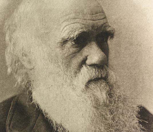 The Theory of Evolution: Darwin’s Revolutionary Idea That Changed Biology