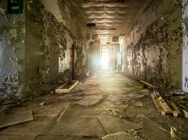 Chernobyl today