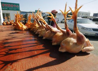 China bird flu human case