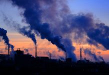 The Fight Against Climate Change: The Latest Scientific Developments and Strategies