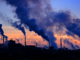 The Fight Against Climate Change: The Latest Scientific Developments and Strategies