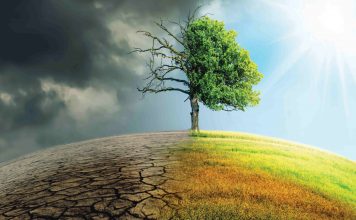 Climate Change Is Threatening Global Food Supplies, Warns UN Report