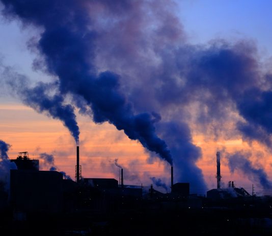 The Fight Against Climate Change: The Latest Scientific Developments and Strategies