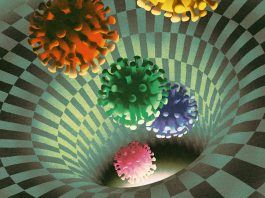 Computers uncover novel viruses old genetic code