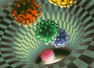 Computers uncover novel viruses old genetic code