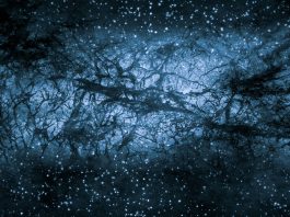The Mysteries of Dark Matter: What We Know and What We’re Still Learning
