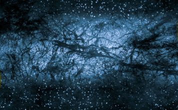 The Mysteries of Dark Matter: What We Know and What We’re Still Learning