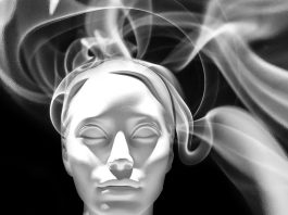 The Neuroscience of Decision-Making: How We Make Choices