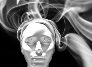 The Neuroscience of Decision-Making: How We Make Choices