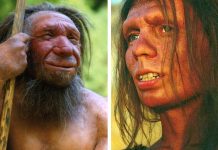 Denisovans