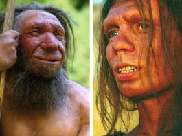 Denisovans