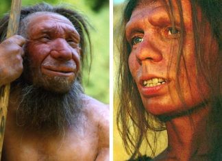 Denisovans