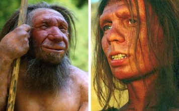 Denisovans