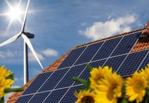 The Discovery of Chlorophyll: The Key to Photosynthesis