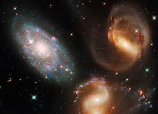 The Discovery of Gravity: Understanding the Fundamental Force That Governs Our Universe