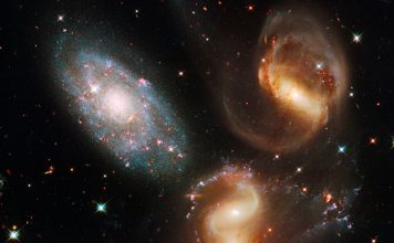 The Discovery of Gravity: Understanding the Fundamental Force That Governs Our Universe