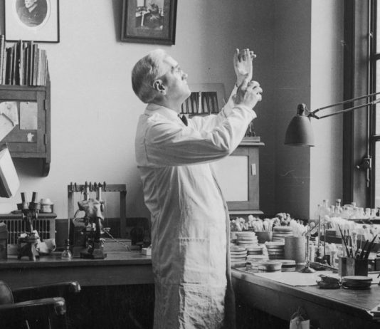The Discovery of Penicillin: How It Changed Medicine Forever