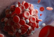 The Discovery of Platelets: How Blood Clots and Prevents Bleeding