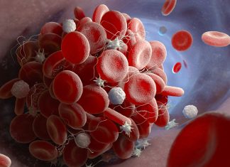 The Discovery of Platelets: How Blood Clots and Prevents Bleeding