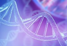 The Discovery of RNA: The Other Genetic Material