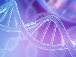 The Discovery of RNA: The Other Genetic Material