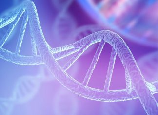 The Discovery of RNA: The Other Genetic Material