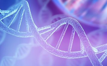 The Discovery of RNA: The Other Genetic Material