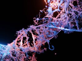 The Discovery of the Double Helix: Unlocking the Secrets of DNA