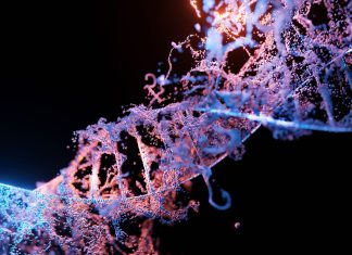 The Discovery of the Double Helix: Unlocking the Secrets of DNA