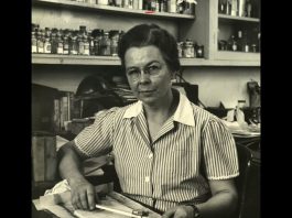 Edith Clarke: The Electrical Engineer Who Developed the Clarke Transformation and Contributed to the Development of Electric Power Transmission