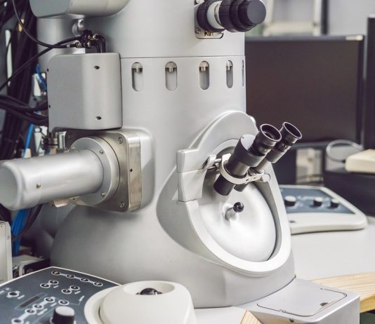 The Discovery of the Electron Microscope: Seeing the Unseen World