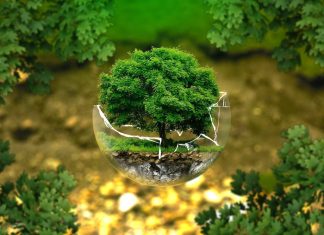 The Impact of AI on the Environment: Challenges and Solutions