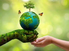 The Science of Environmental Health: Understanding How Our Environment Affects Our Health