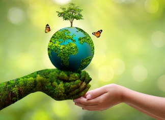 The Science of Environmental Health: Understanding How Our Environment Affects Our Health