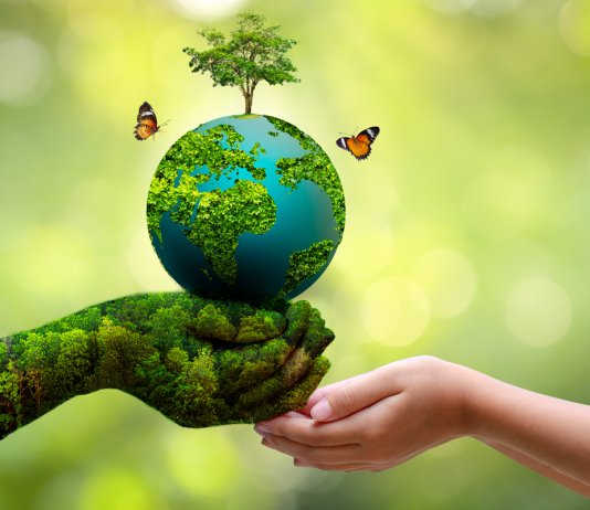 The Science of Environmental Health: Understanding How Our Environment Affects Our Health