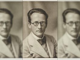 Erwin Schrödinger: The Physicist Who Developed the Schrödinger Equation