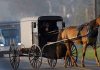 The Evolution of Transportation: From Horse-Drawn Carriages to Self-Driving Cars