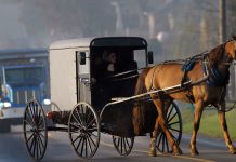The Evolution of Transportation: From Horse-Drawn Carriages to Self-Driving Cars