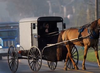 The Evolution of Transportation: From Horse-Drawn Carriages to Self-Driving Cars