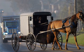The Evolution of Transportation: From Horse-Drawn Carriages to Self-Driving Cars
