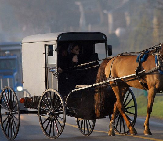 The Evolution of Transportation: From Horse-Drawn Carriages to Self-Driving Cars