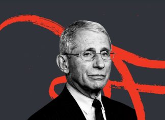 Fauci emails fox news