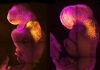 Scientists Create First Synthetic Embryo-Like Structure