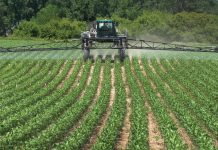 The Future of Agriculture: How Science and Technology Are Changing Farming