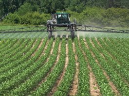 The Future of Agriculture: How Science and Technology Are Changing Farming